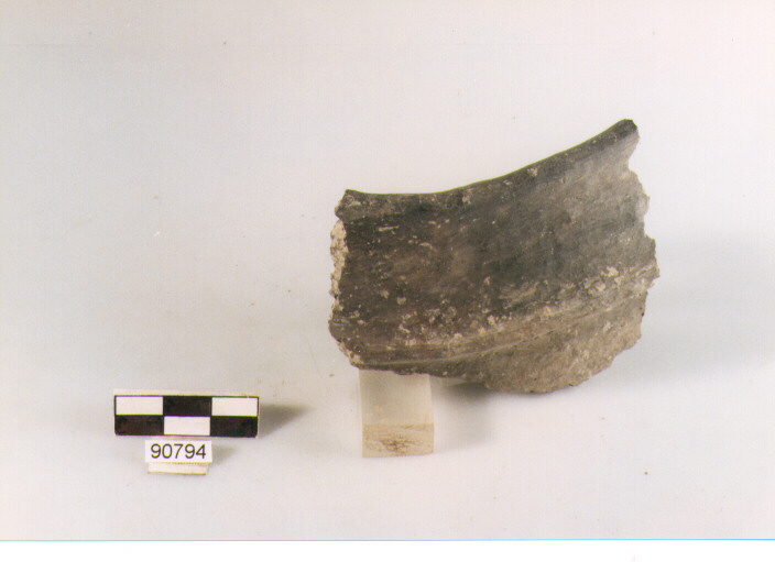 DOLIO CORDONATO, dolii a botte, tipo 1, Archi (BF/ prima età del Ferro)