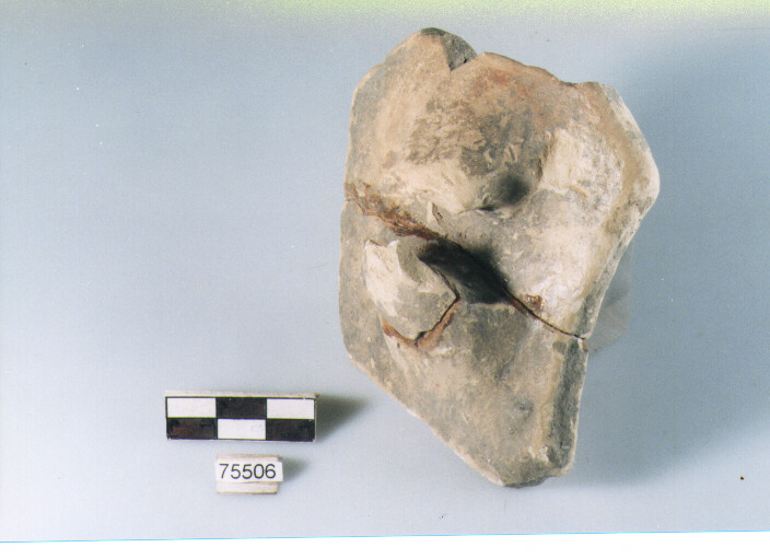 ansa ad anello, tipo E12 Ripoli - neolitico finale-Ripoli I (IV MILLENNIO a.C)