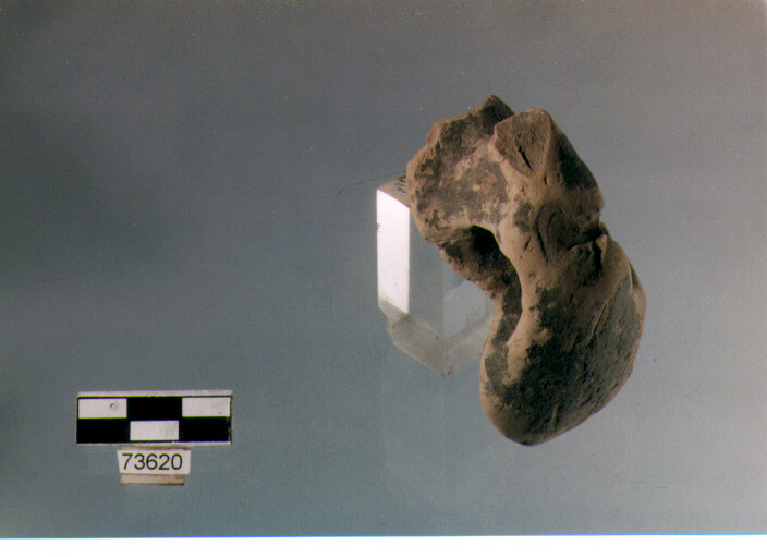 ansa ad anello, tipo A 4, Ripoli - neolitico finale-Ripoli (IV MILLENNIO a.C)