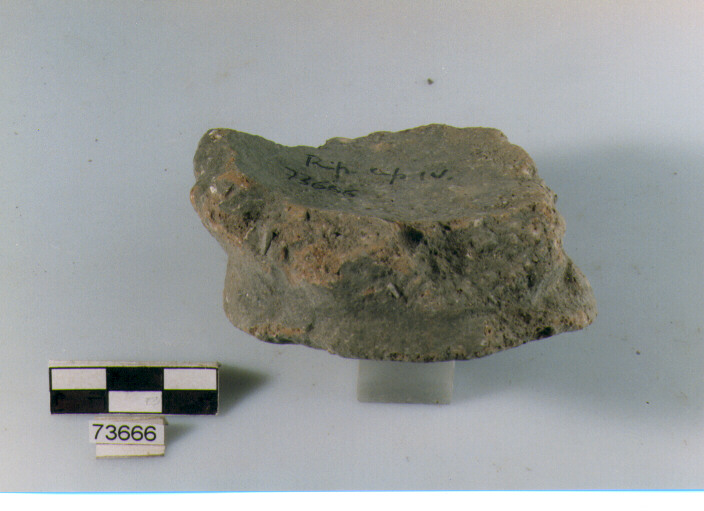 frammento, tipo E5, Ripoli - neolitico finale-Ripoli (IV MILLENNIO a.C)