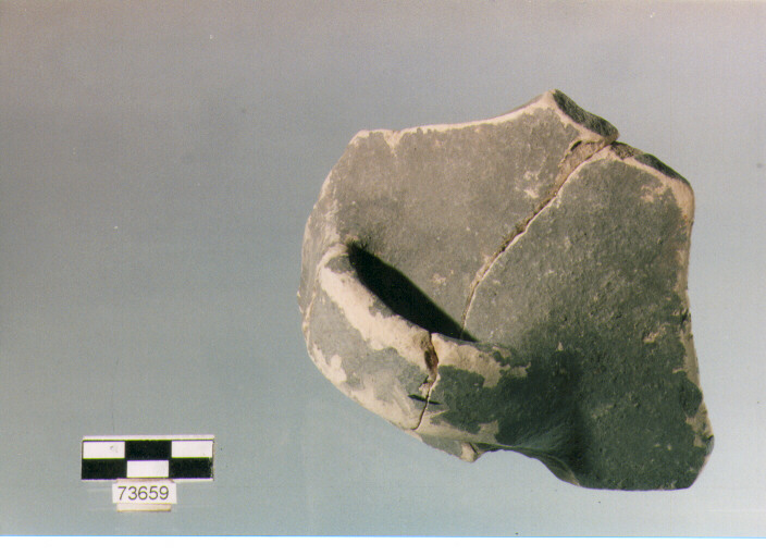 ansa a maniglia, tipo A14, Ripoli - neolitico finale-Ripoli (IV MILLENNIO a.C)