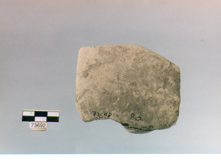 parete, tipo E 15, Ripoli - neolitico finale-Ripoli (IV MILLENNIO a.C)