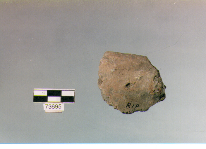 orlo, tipo E12 Ripoli - neolitico finale-Ripoli (IV MILLENNIO a.C)