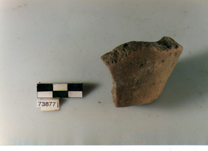 Fondo, tipo E1a Ripoli - neolitico finale- Ripoli III (IV MILLENNIO a.C)