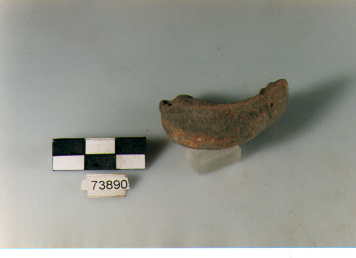 ansa a nastro insellata, tipo A6 Ripoli - neolitico finale- Ripoli III (IV MILLENNIO a.C)