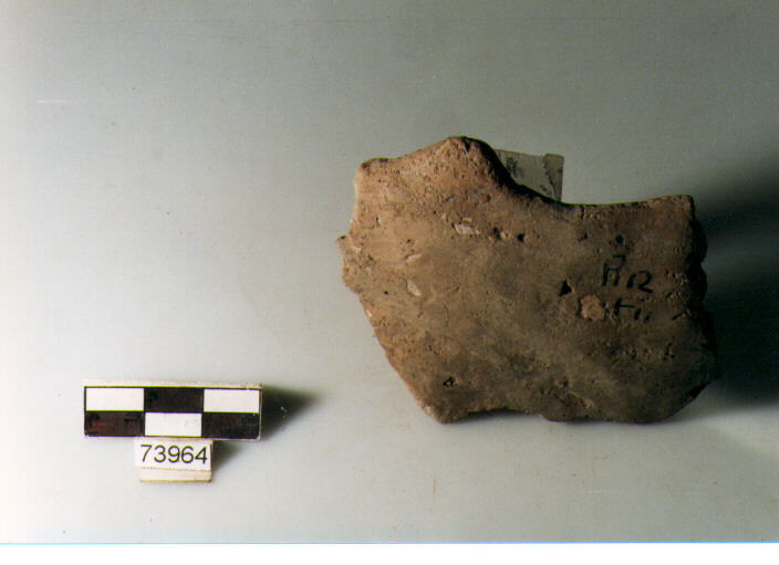 orlo, tipo E12a3 Ripoli - neolitico finale-Ripoli I (IV MILLENNIO a.C)