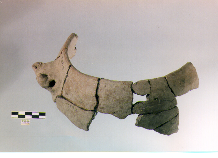 scodella, tipo F34 Ripoli - neolitico finale-Ripoli (IV MILLENNIO a.C)