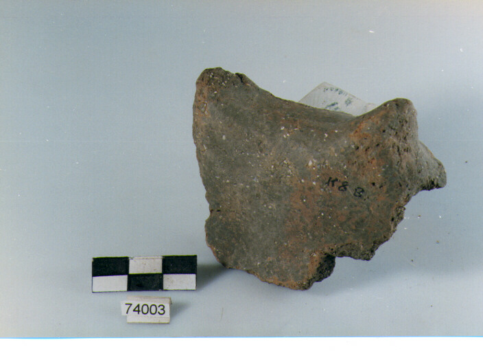 ansa tubolare insellata, tipo A8a, Ripoli - neolitico finale-Ripoli III (IV MILLENNIO a.C)