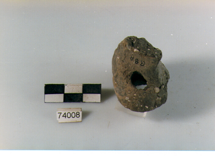 ansa a nastro, tipo A6, Ripoli - neolitico finale-Ripoli III (IV MILLENNIO a.C)