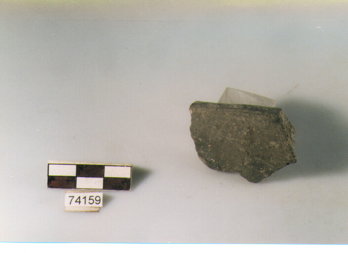 orlo, tipo E12 Ripoli - neolitico finale-Ripoli I (IV MILLENNIO a.C)