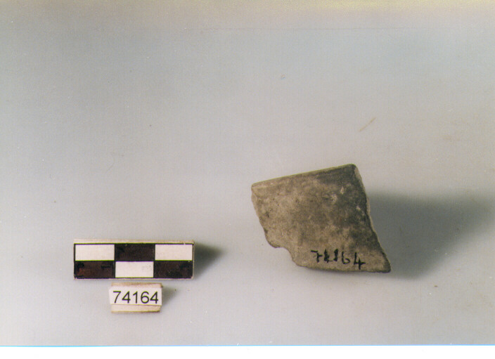 orlo, tipo E12 Ripoli - neolitico finale-Ripoli I (IV MILLENNIO a.C)