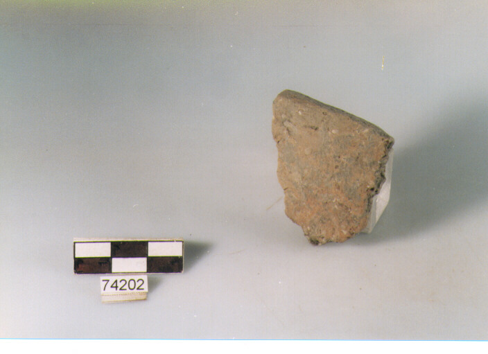 orlo, tipo E12 Ripoli - neolitico finale-Ripoli I (IV MILLENNIO a.C)