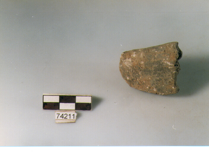 orlo, tipo E12 Ripoli - neolitico finale-Ripoli I (IV MILLENNIO a.C)