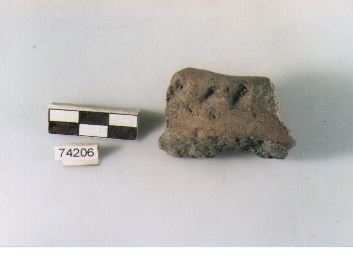 orlo, tipo E12 a1 Ripoli - neolitico finale-Ripoli I (IV MILLENNIO a.C)