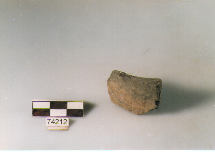 orlo, tipo E12 Ripoli - neolitico finale-Ripoli I (IV MILLENNIO a.C)