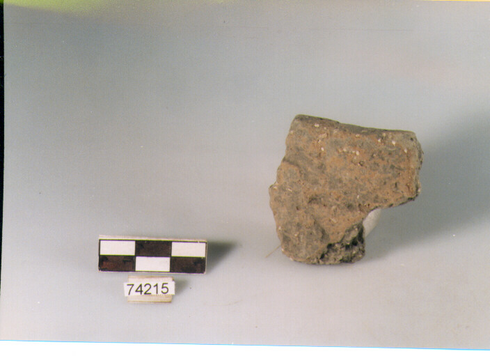 orlo, tipo E12 Ripoli - neolitico finale-Ripoli I (IV MILLENNIO a.C)