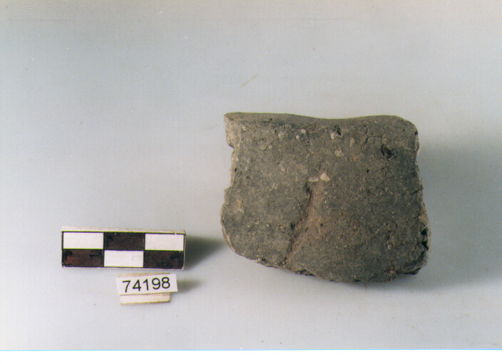 orlo, tipo E12 Ripoli - neolitico finale-Ripoli I (IV MILLENNIO a.C)