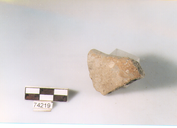 orlo, tipo E12 Ripoli - neolitico finale-Ripoli I (IV MILLENNIO a.C)