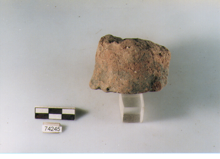 frammento, tipo E4 Ripoli - neolitico finale-Ripoli I (IV MILLENNIO a.C)