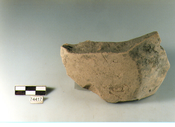 Fondo, tipo E1a, Ripoli - neolitico finale-Ripoli (IV MILLENNIO a.C)