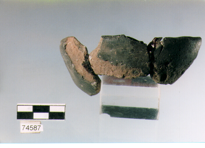 scodellina, tipo F21, Ripoli - neolitico finale-Ripoli III (IV MILLENNIO a.C)