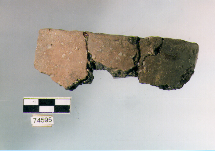 olla ovoide, tipo F 8, Ripoli - neolitico finale-Ripoli III (IV MILLENNIO a.C)