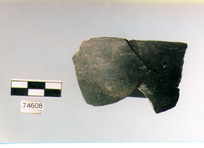 scodellina, tipo F21, Ripoli - neolitico finale-Ripoli III (IV MILLENNIO a.C)