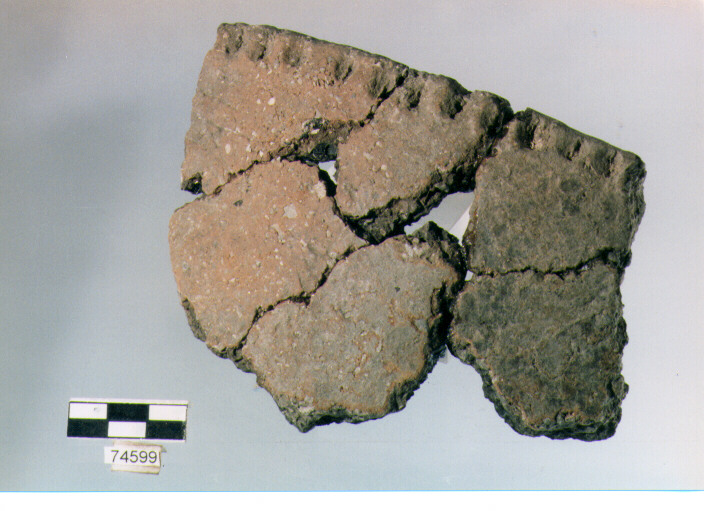 vaso, tipo F 35, Ripoli - neolitico finale-Ripoli III (IV MILLENNIO a.C)