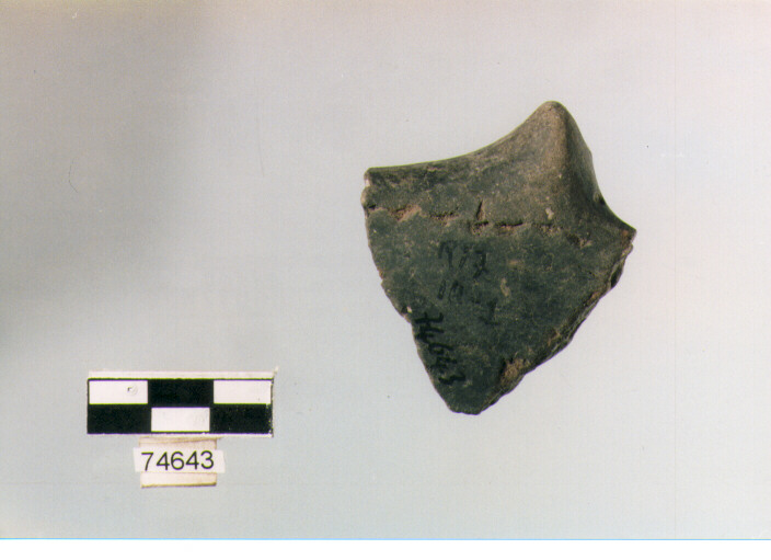 ansa a rocchetto, tipo A 15, Ripoli - neolitico finale-Ripoli III (IV MILLENNIO a.C)