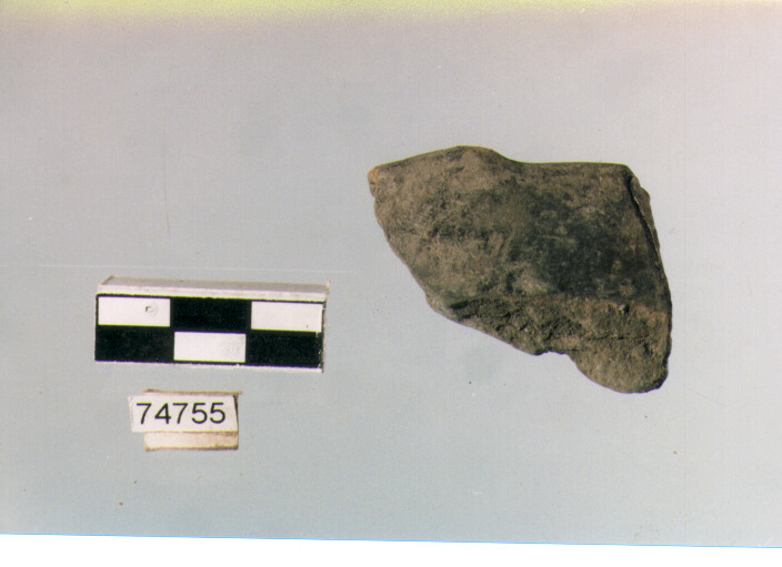 orlo, tipo E 12, Ripoli - neolitico finale-Ripoli III (IV MILLENNIO a.C)