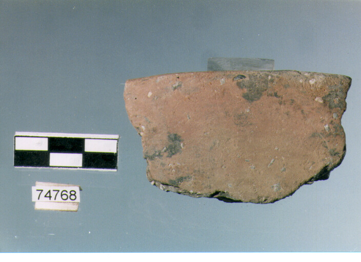 vaso, tipo F35a, Ripoli - neolitico finale-Ripoli III (IV MILLENNIO a.C)