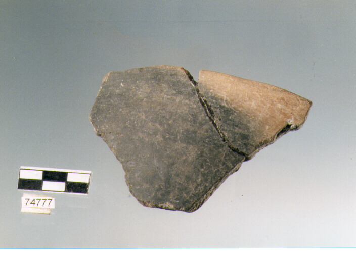 scodellone troncoconico, tipo F16, Ripoli - neolitico finale-Ripoli III (IV MILLENNIO a.C)