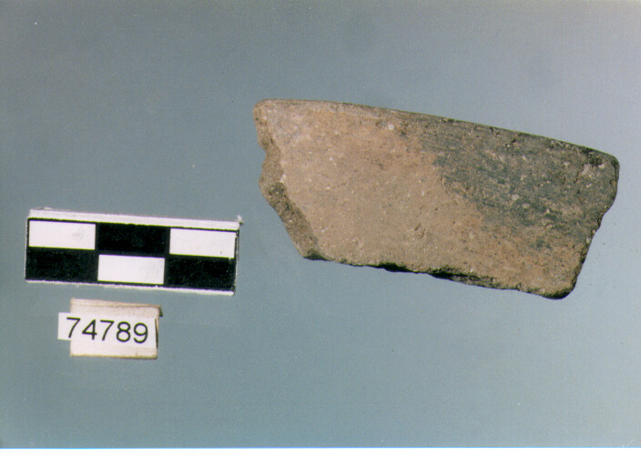 orlo, tipo E12, Ripoli - neolitico finale-Ripoli III (IV MILLENNIO a.C)