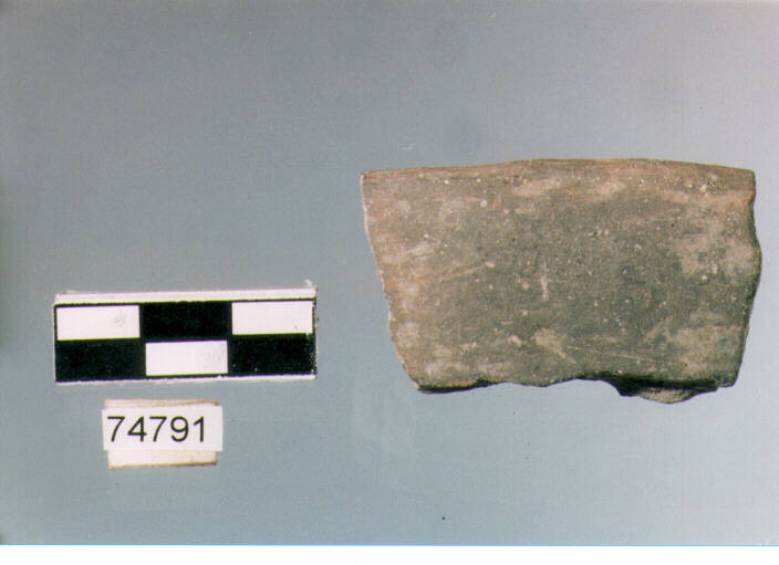orlo, tipo E12, Ripoli - neolitico finale-Ripoli III (IV MILLENNIO a.C)