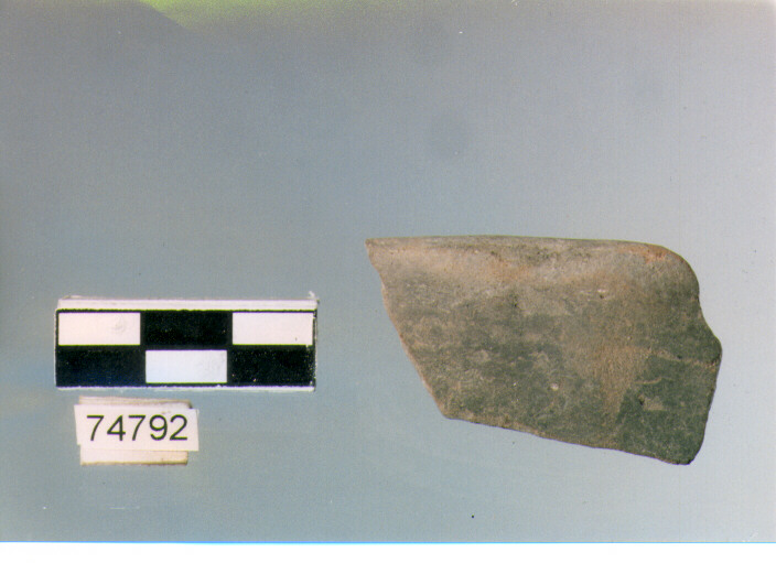 orlo, tipo E12, Ripoli - neolitico finale-Ripoli III (IV MILLENNIO a.C)