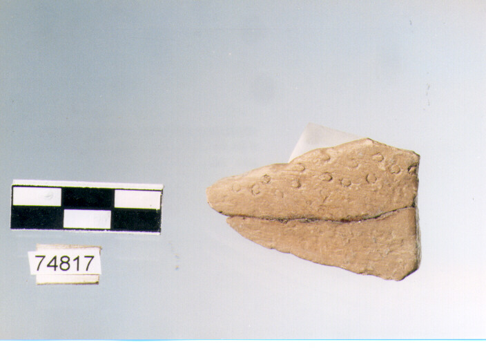 Parete, tipo E11, Ripoli - neolitico finale-Ripoli III (IV MILLENNIO a.C)