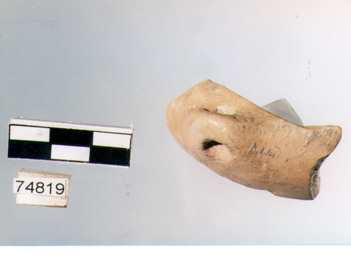 ansa ad anello, tipo A1, Ripoli - neolitico finale-Ripoli III (IV MILLENNIO a.C)