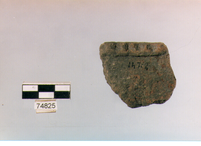 scodella, tipo F 20, Ripoli - neolitico finale-Ripoli (IV MILLENNIO a.C)