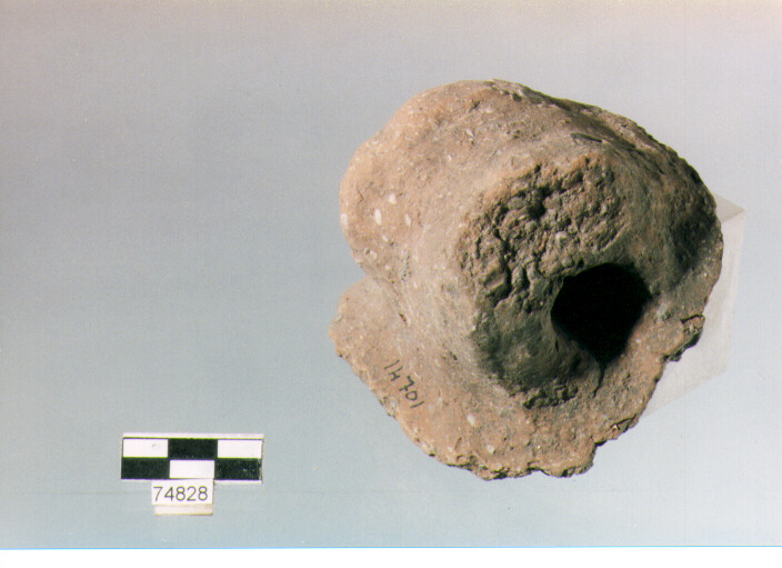 ansa a nastro, tipo A6, Ripoli - neolitico finale-Ripoli (IV MILLENNIO a.C)