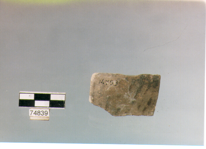 orlo, tipo E12a2, Ripoli - neolitico finale-Ripoli (IV MILLENNIO a.C)