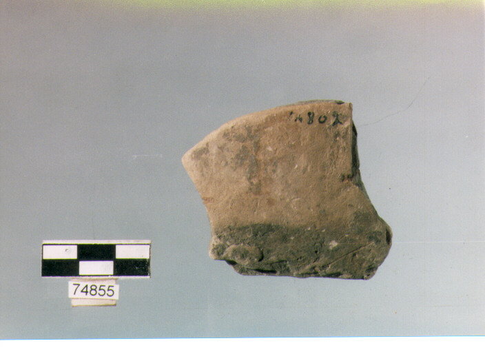 Fondo, tipo E1a, Ripoli - neolitico finale-Ripoli (IV MILLENNIO a.C)