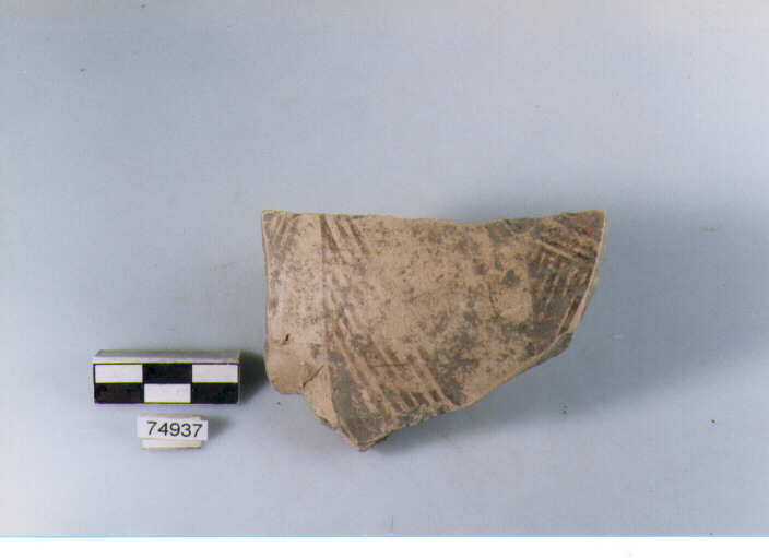 Parete, tipo E11, Ripoli - neolitico finale-Ripoli I (IV MILLENNIO a.C)