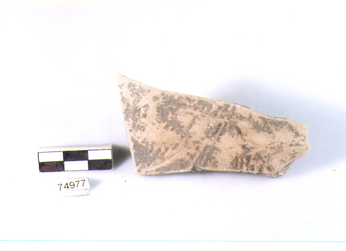 Parete, tipo E11, Ripoli - neolitico finale-Ripoli I (IV MILLENNIO a.C)