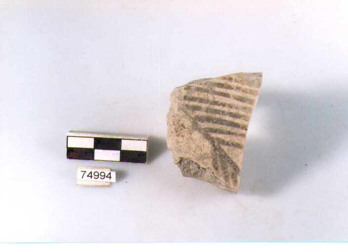 Parete, tipo E11, Ripoli - neolitico finale-Ripoli I (IV MILLENNIO a.C)