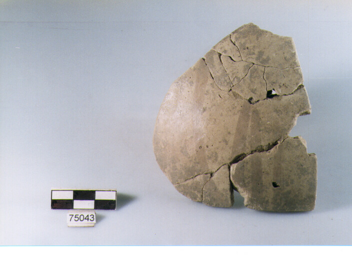 Parete, tipo E11, Ripoli - neolitico finale-Ripoli I (IV MILLENNIO a.C)