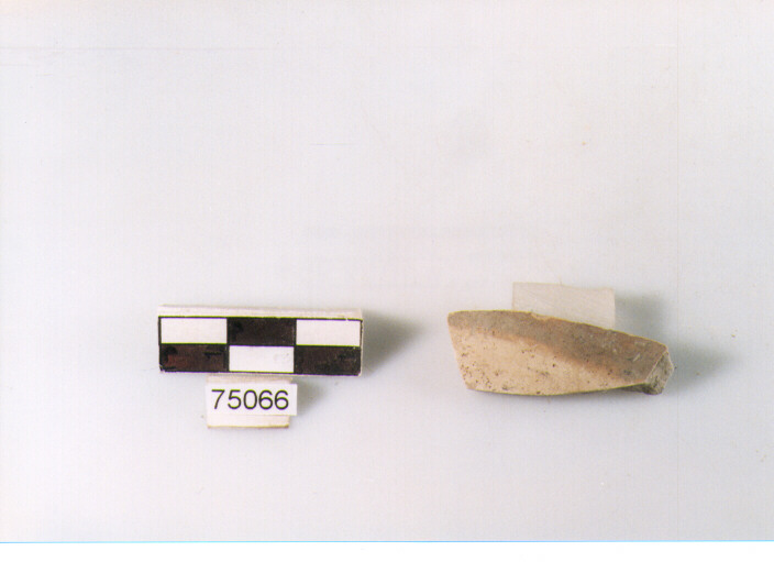 Parete, tipo E11, Ripoli - neolitico finale-Ripoli I (IV MILLENNIO a.C)