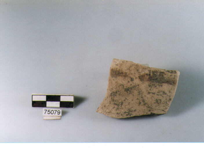 Parete, tipo E11, Ripoli - neolitico finale-Ripoli I (IV MILLENNIO a.C)