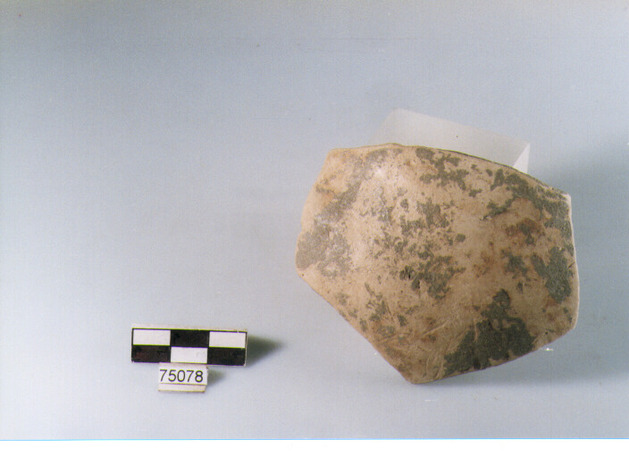 Parete, tipo E11, Ripoli - neolitico finale-Ripoli I (IV MILLENNIO a.C)