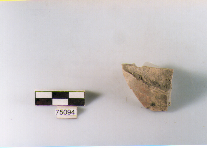 Parete, tipo E11, Ripoli - neolitico finale-Ripoli I (IV MILLENNIO a.C)