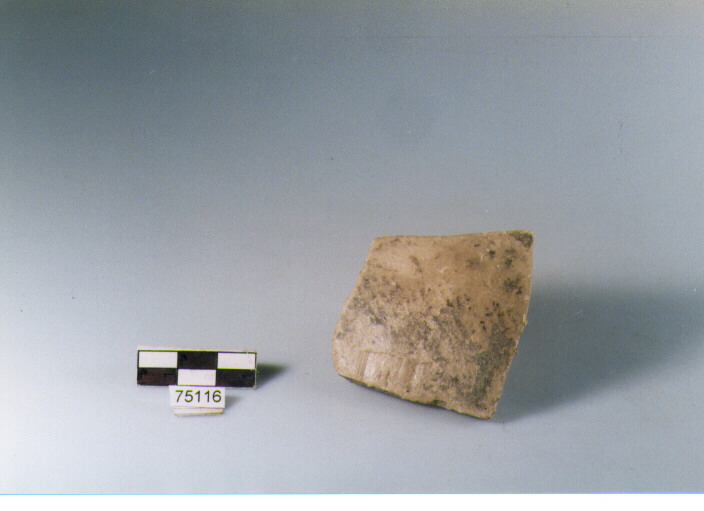 Parete, tipo E11, Ripoli - neolitico finale-Ripoli I (IV MILLENNIO a.C)